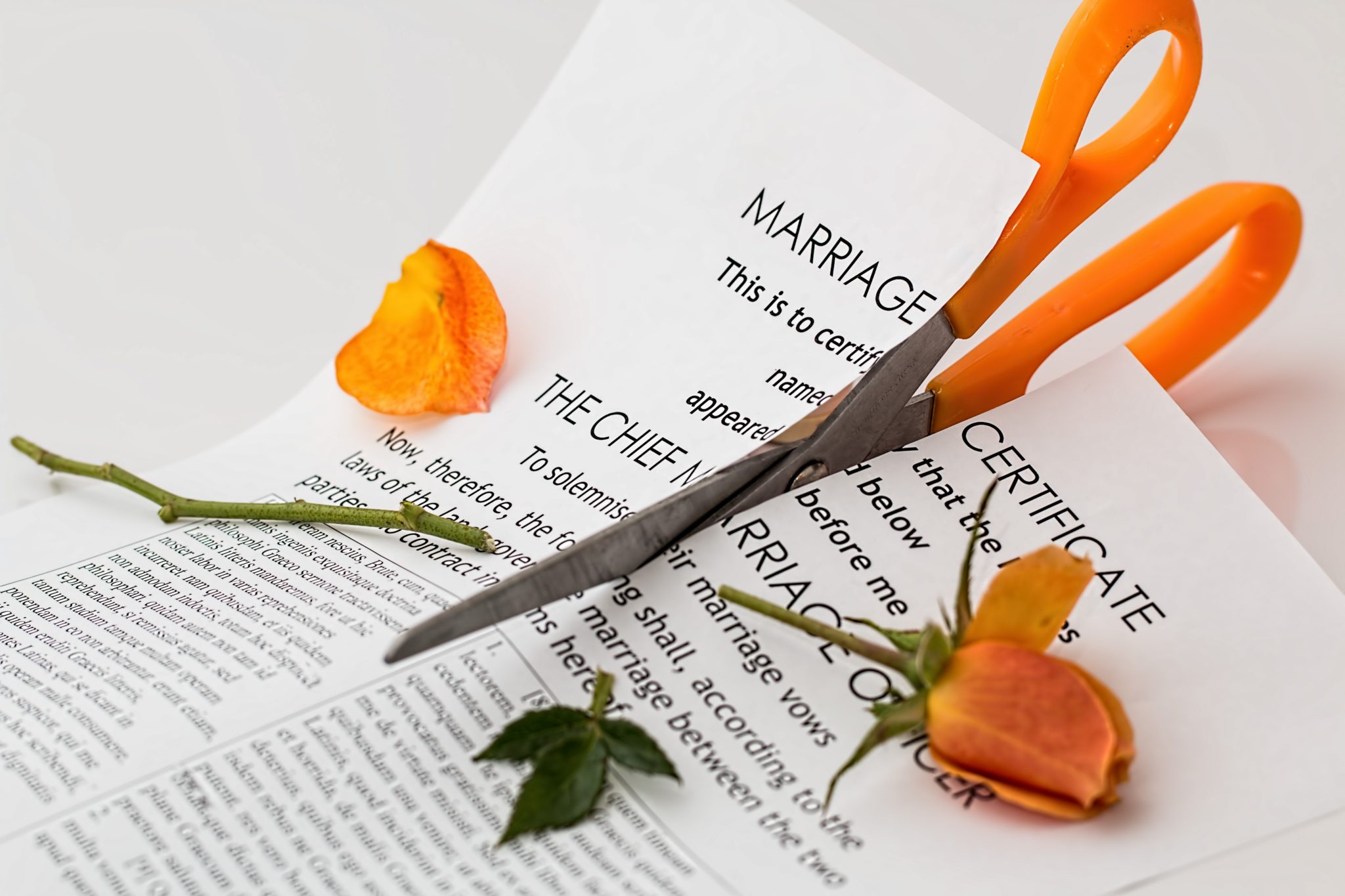 bankruptcy and divorce